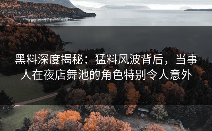 黑料深度揭秘：猛料风波背后，当事人在夜店舞池的角色特别令人意外