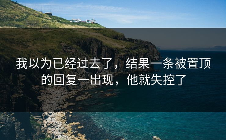 我以为已经过去了,结果一条被置顶的回复一出现,他就失控了