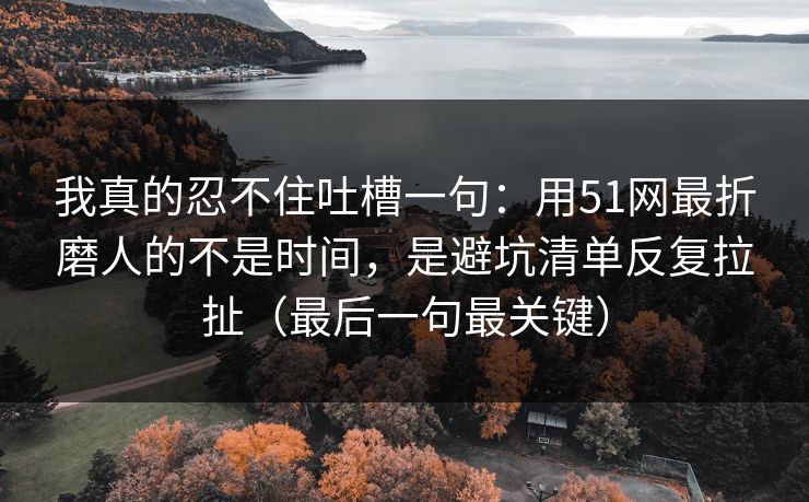我真的忍不住吐槽一句：用51网最折磨人的不是时间，是避坑清单反复拉扯（最后一句最关键）