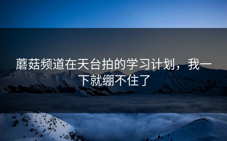 蘑菇频道在天台拍的学习计划,我一下就绷不住了